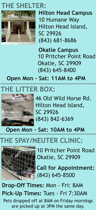 Hilton Head Humane Society info